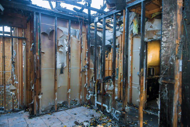 Professional Smoke Damage Removal technician working in Churchill, MT